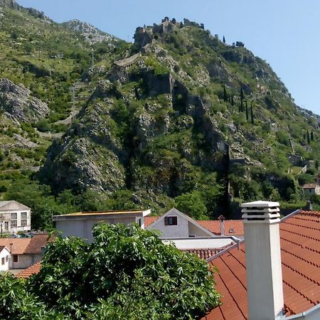 Tea Apartment Kotor Bagian luar foto