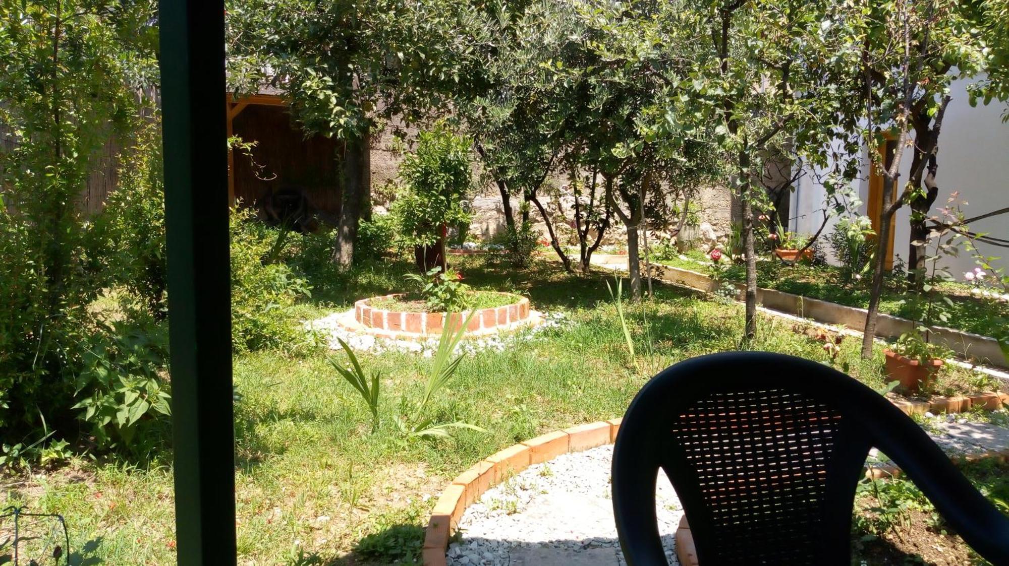 Tea Apartment Kotor Bagian luar foto