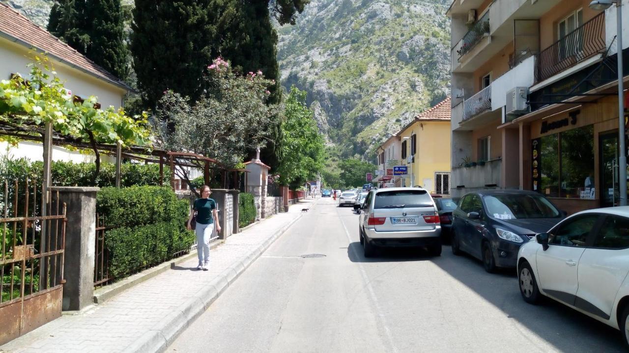 Tea Apartment Kotor Bagian luar foto