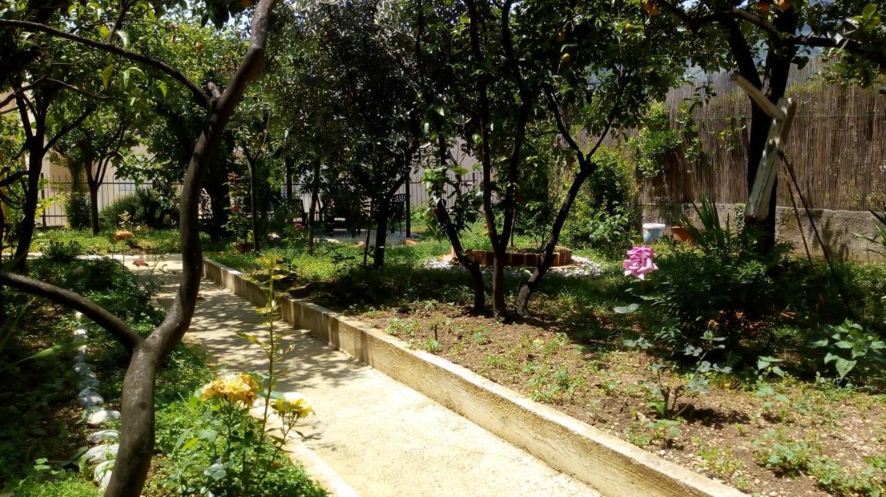 Tea Apartment Kotor Bagian luar foto