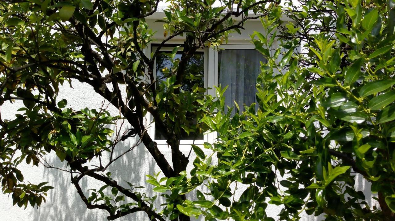 Tea Apartment Kotor Bagian luar foto