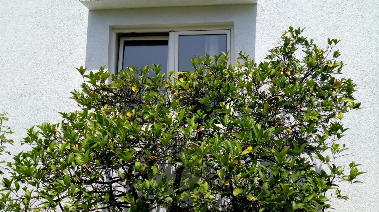 Tea Apartment Kotor Bagian luar foto