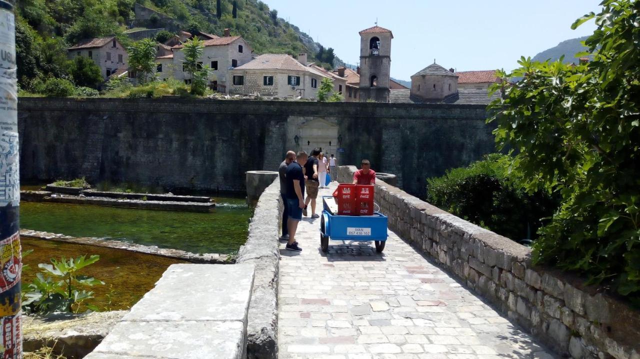 Tea Apartment Kotor Bagian luar foto