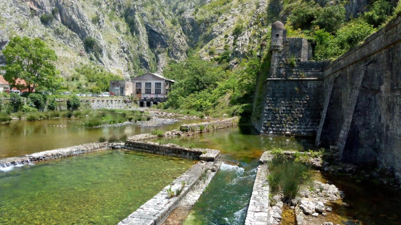 Tea Apartment Kotor Bagian luar foto