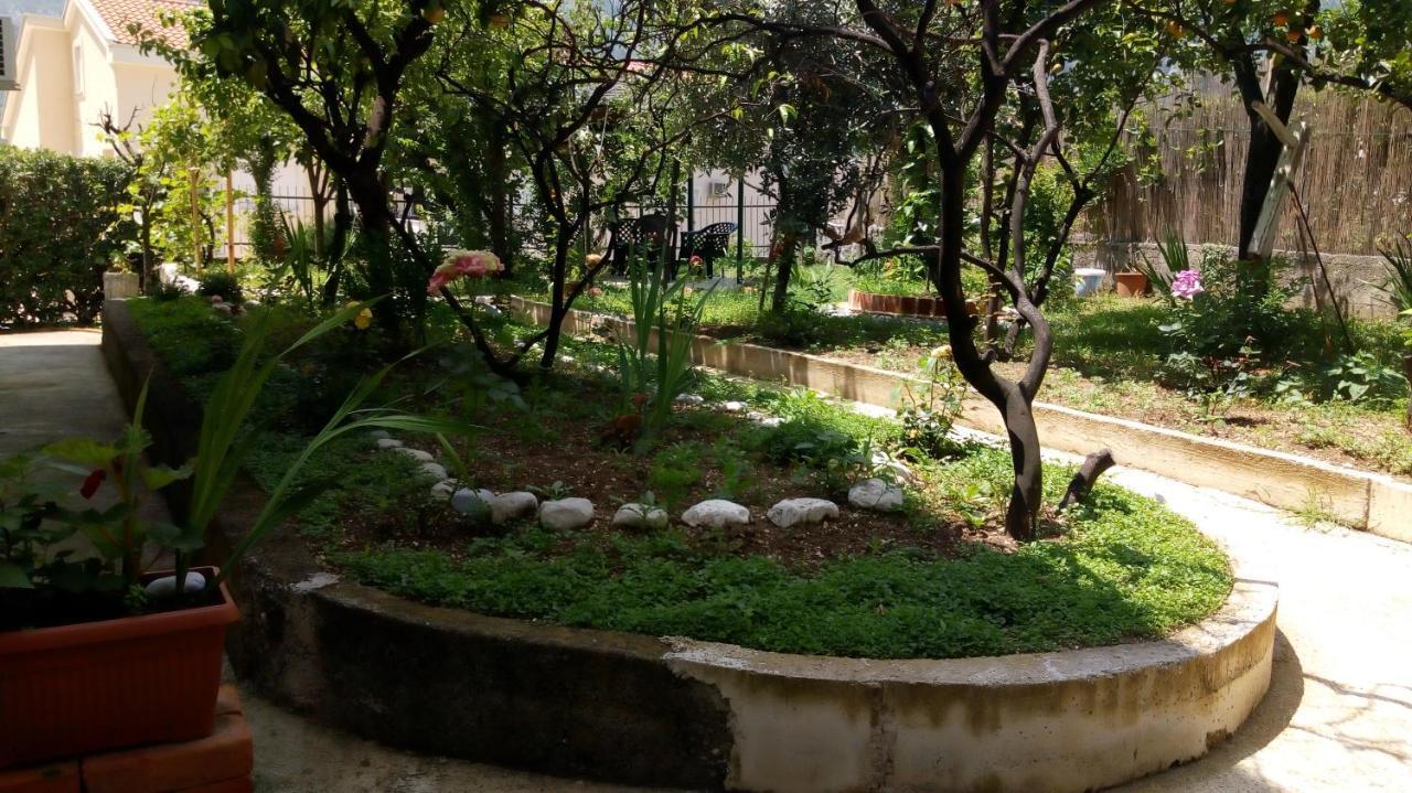 Tea Apartment Kotor Bagian luar foto